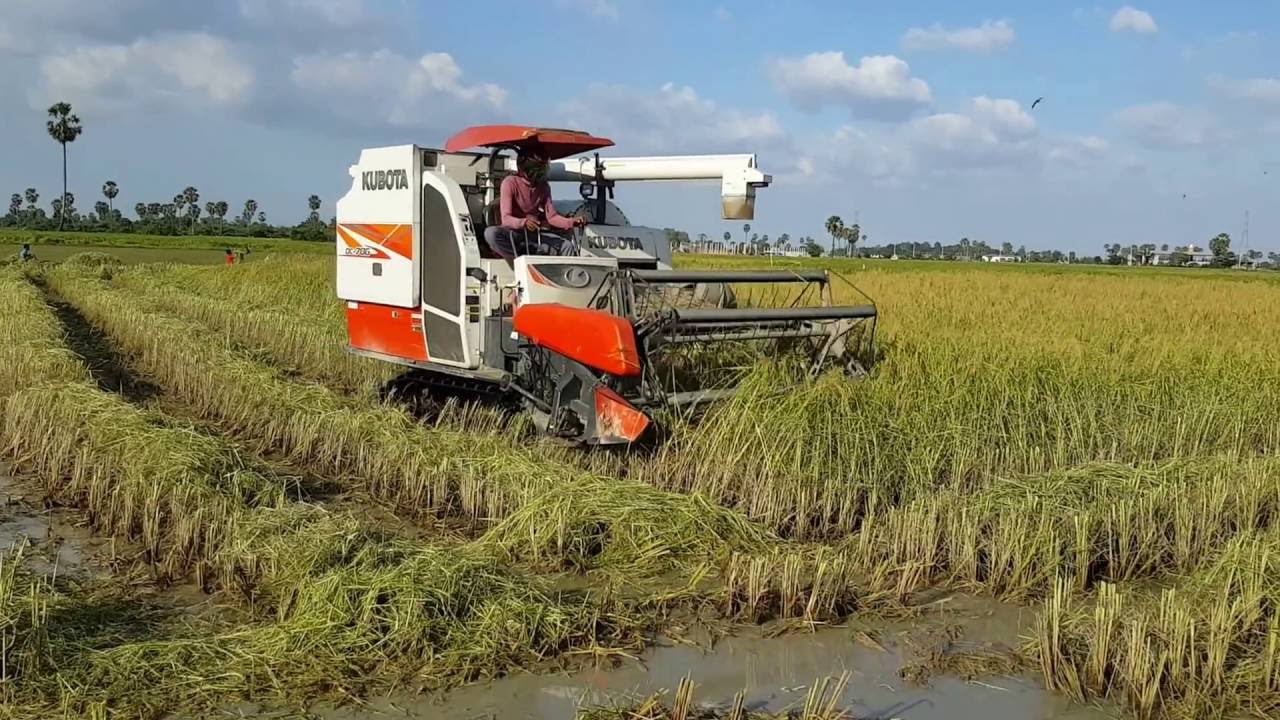 El campo colombiano avanza hacia la alta eficiencia con nuevas líneas de crédito para maquinaria de precisión