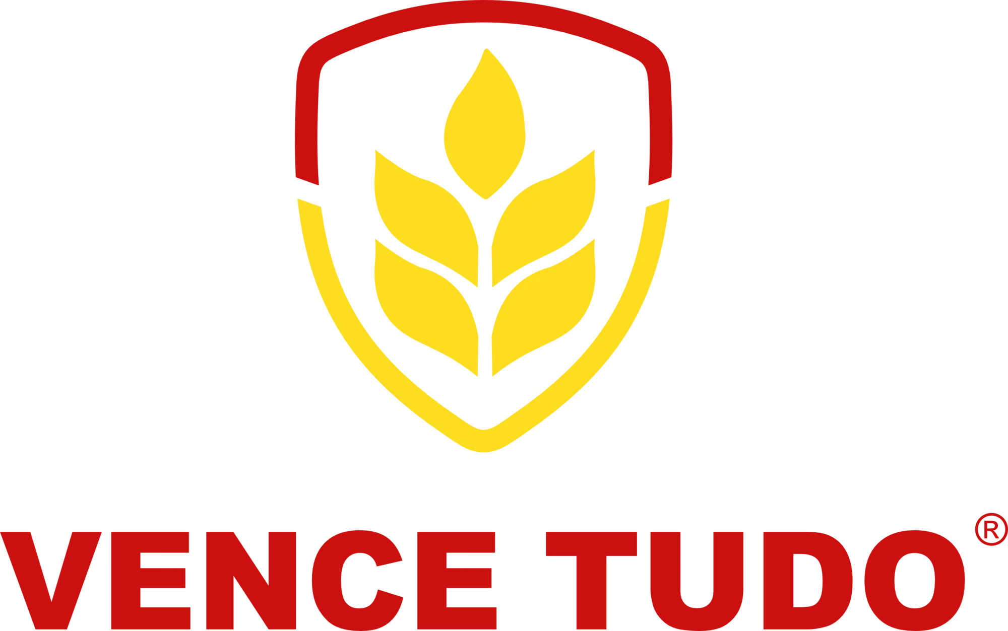 Vence Tudo