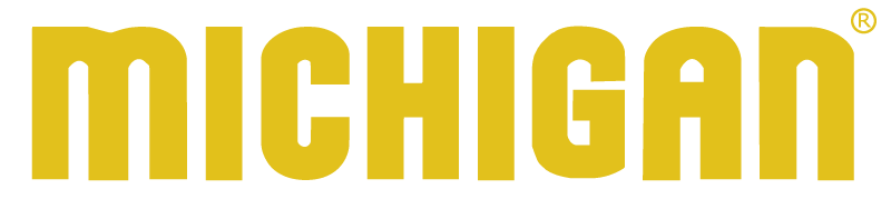 LOGO MICHIGAN